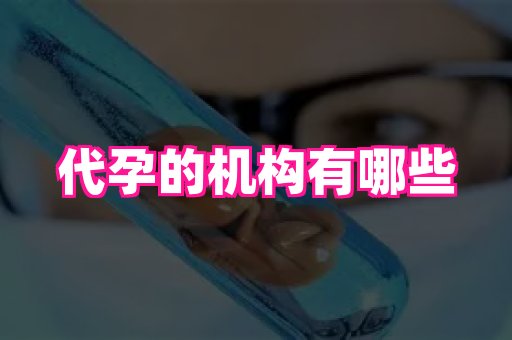 无锡助孕网 3