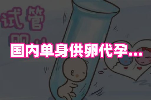 无锡助孕网 4